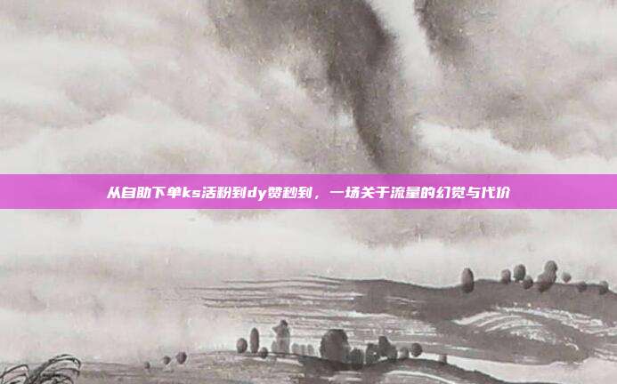 从自助下单ks活粉到dy赞秒到,一场关于流量的幻觉与代价
