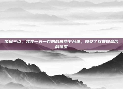 凌晨三点,我在一元一百赞的自助平台里,窥见了互联网最后的体面