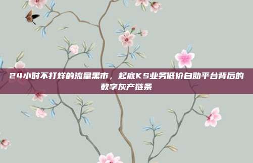 24小时不打烊的流量黑市,起底KS业务低价自助平台背后的数字灰产链条