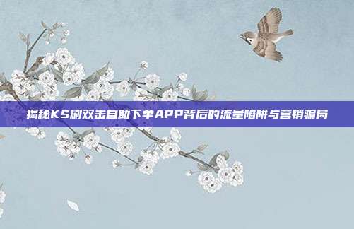 揭秘KS刷双击自助下单APP背后的流量陷阱与营销骗局