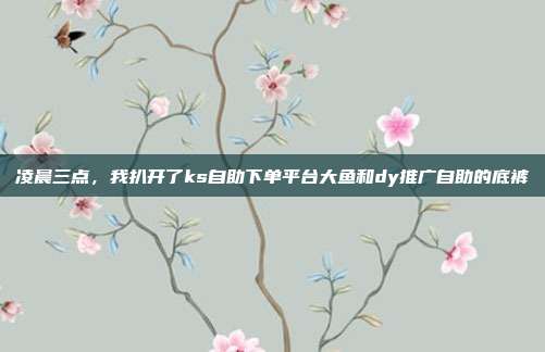 凌晨三点,我扒开了ks自助下单平台大鱼和dy推广自助的底裤
