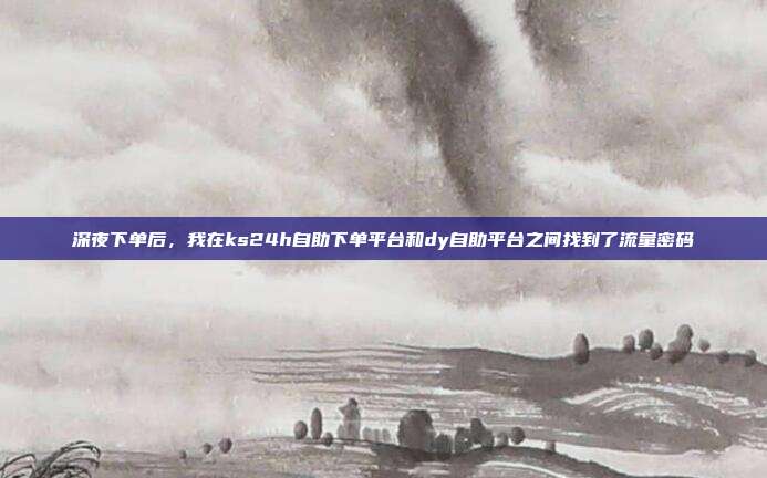 深夜下单后,我在ks24h自助下单平台和dy自助平台之间找到了流量密码