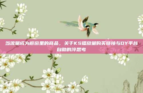 当流量成为橱窗里的商品,关于KS播放量购买链接与DY平台自助的冷思考