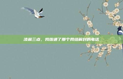 凌晨三点,我拨通了那个网络解封的电话
