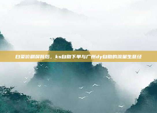 白菜价刷屏背后,ks自助下单与广州dy自助的流量生意经