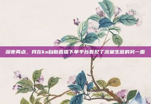 深夜两点,我在ks自助直播下单平台看见了流量生意的另一面