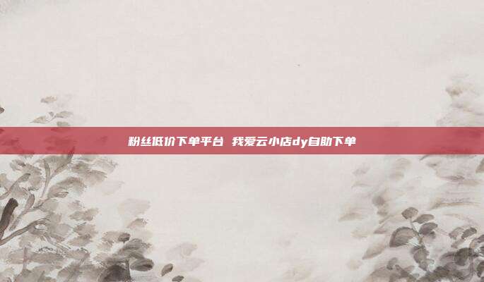 粉丝低价下单平台 我爱云小店dy自助下单