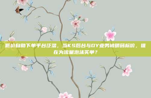低价自助下单平台泛滥,当KS后台与DY业务被明码标价,谁在为流量泡沫买单?