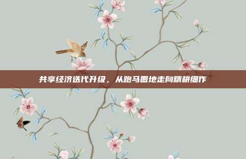 共享经济迭代升级，从跑马圈地走向精耕细作