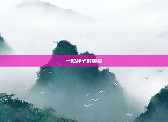 一粒种子的重量