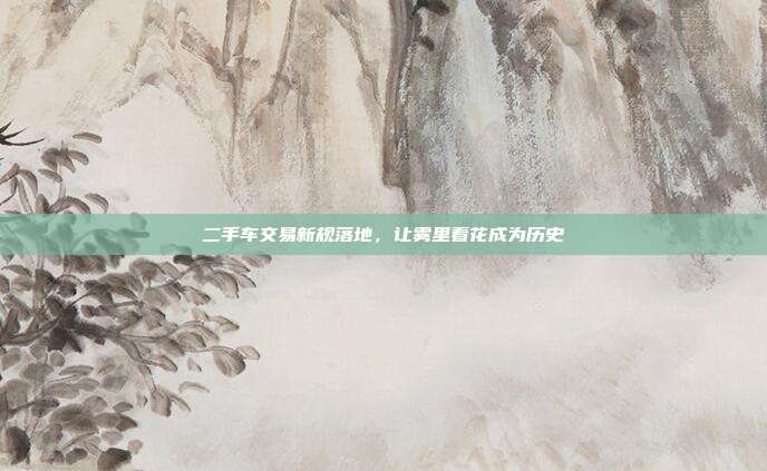 二手车交易新规落地,让雾里看花成为历史