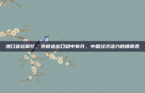 港口货运繁忙,外贸进出口稳中有升,中国经济活力的晴雨表