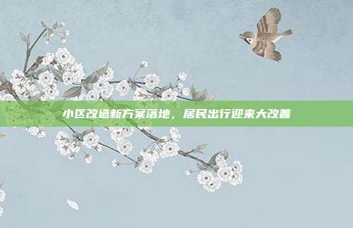 小区改造新方案落地，居民出行迎来大改善