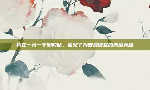 我在一元一千粉网站,看见了抖音最便宜的流量真相