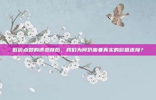 低价点赞的诱惑背后,我们为何仍需要真实的价值连接?