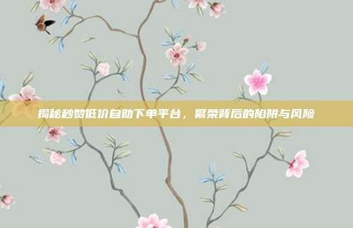 揭秘秒赞低价自助下单平台,繁荣背后的陷阱与风险