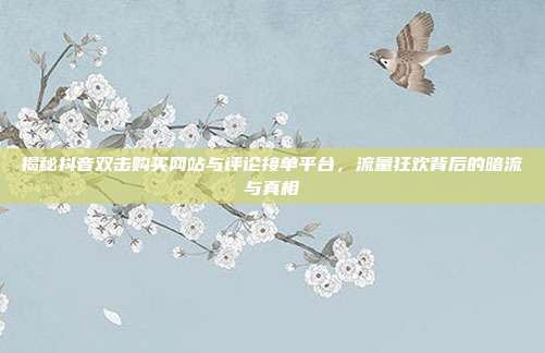 揭秘抖音双击购买网站与评论接单平台,流量狂欢背后的暗流与真相