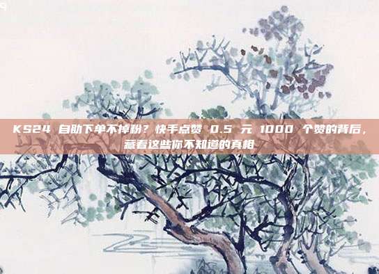 KS24 自助下单不掉粉？快手点赞 0.5 元 1000 个赞的背后，藏着这些你不知道的真相