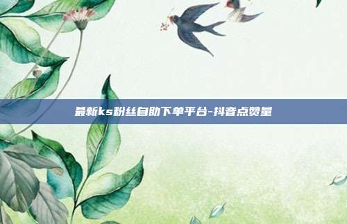 最新ks粉丝自助下单平台-抖音点赞量