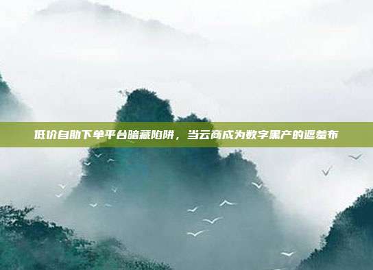 低价自助下单平台暗藏陷阱,当云商成为数字黑产的遮羞布