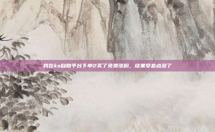 我在ks自助平台下单2买了免费涨粉,结果号差点没了