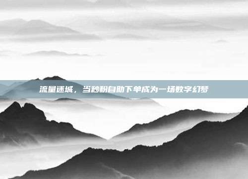 流量迷城，当秒粉自助下单成为一场数字幻梦