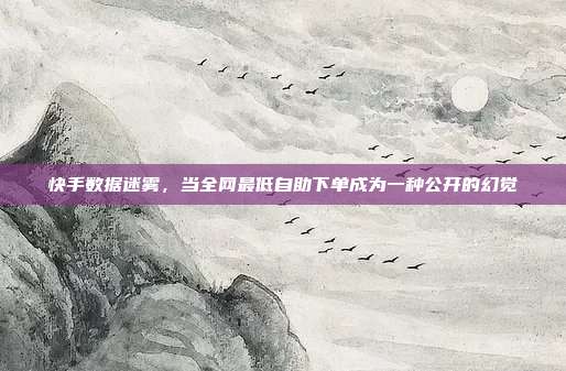快手数据迷雾,当全网最低自助下单成为一种公开的幻觉