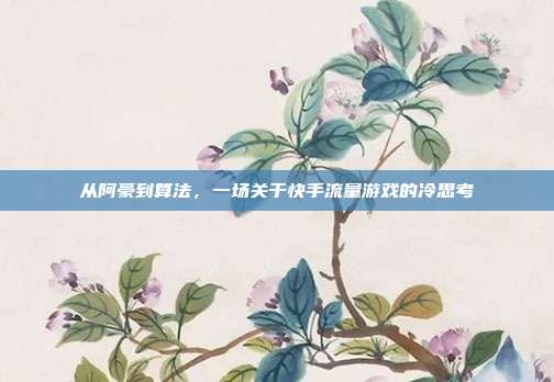 从阿豪到算法,一场关于快手流量游戏的冷思考