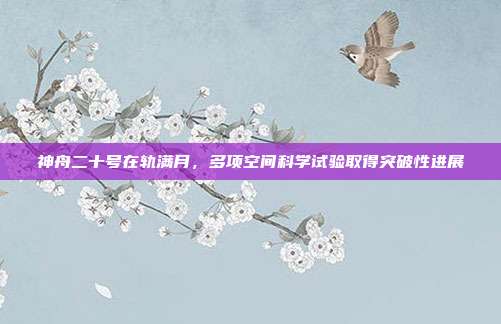 神舟二十号在轨满月,多项空间科学试验取得突破性进展