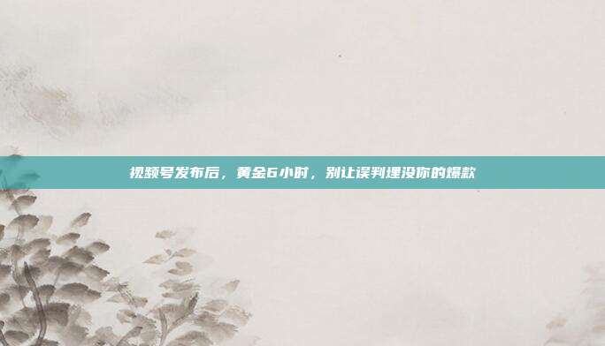 视频号发布后,黄金6小时,别让误判埋没你的爆款