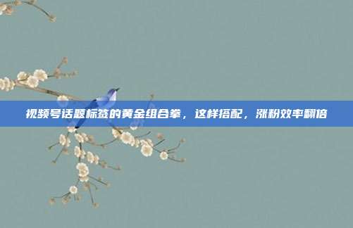 视频号话题标签的黄金组合拳,这样搭配,涨粉效率翻倍