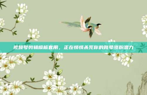 视频号剪辑模板套用,正在悄悄杀死你的账号涨粉潜力