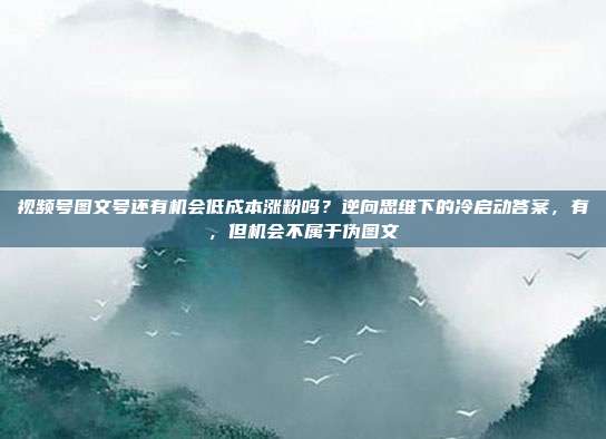 视频号图文号还有机会低成本涨粉吗？逆向思维下的冷启动答案，有，但机会不属于伪图文