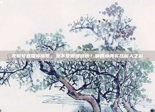 视频号直播停留低,是不是很难涨粉?破局点其实在留人之前
