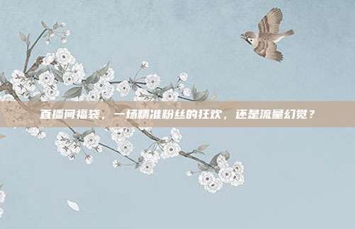 直播间福袋，一场精准粉丝的狂欢，还是流量幻觉？