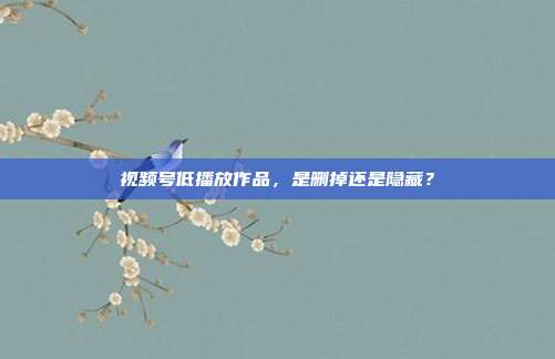 视频号低播放作品,是删掉还是隐藏?
