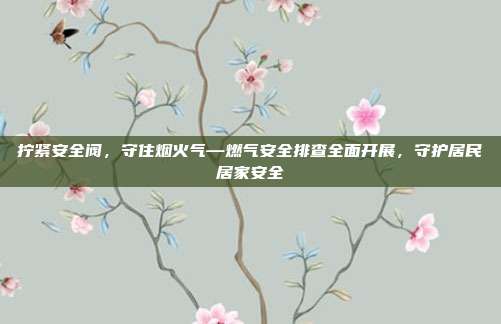 拧紧安全阀,守住烟火气—燃气安全排查全面开展,守护居民居家安全
