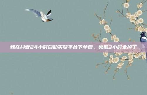 我在抖音24小时自助买赞平台下单后,数据3小时全掉了