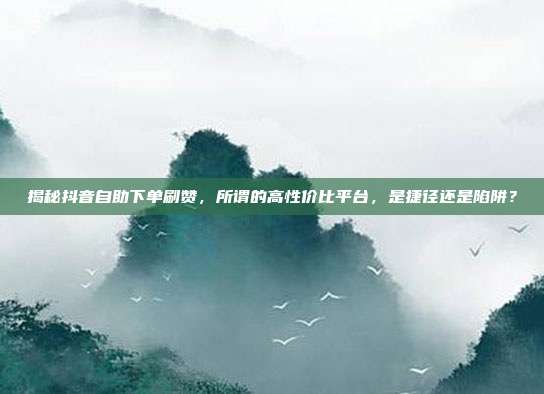 揭秘抖音自助下单刷赞,所谓的高性价比平台,是捷径还是陷阱?
