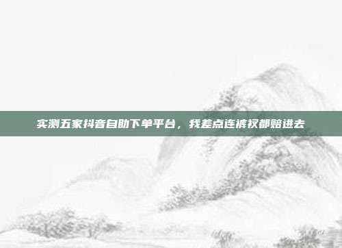 实测五家抖音自助下单平台,我差点连裤衩都赔进去