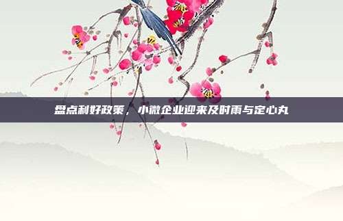 盘点利好政策,小微企业迎来及时雨与定心丸