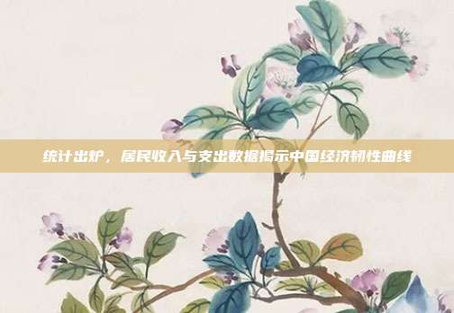 统计出炉,居民收入与支出数据揭示中国经济韧性曲线