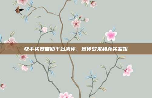 快手买赞自助平台测评,宣传效果和真实差距