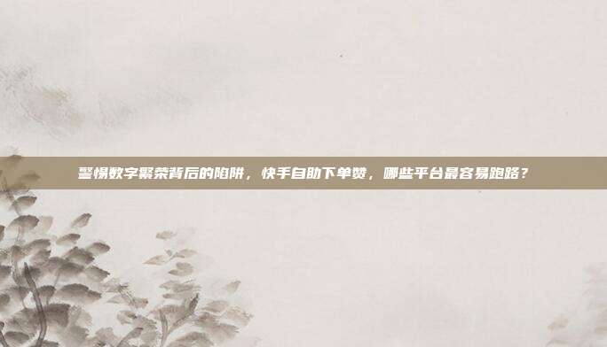警惕数字繁荣背后的陷阱,快手自助下单赞,哪些平台最容易跑路?