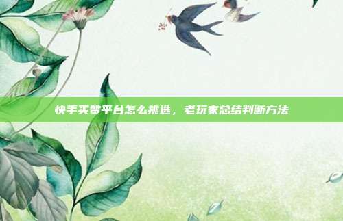 快手买赞平台怎么挑选,老玩家总结判断方法