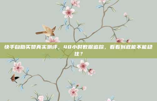 快手自助买赞真实测评,48小时数据追踪,看看到底能不能稳住?