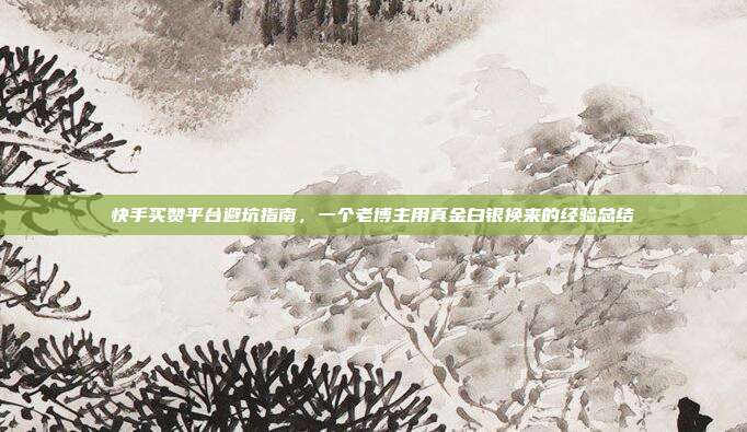 快手买赞平台避坑指南，一个老博主用真金白银换来的经验总结