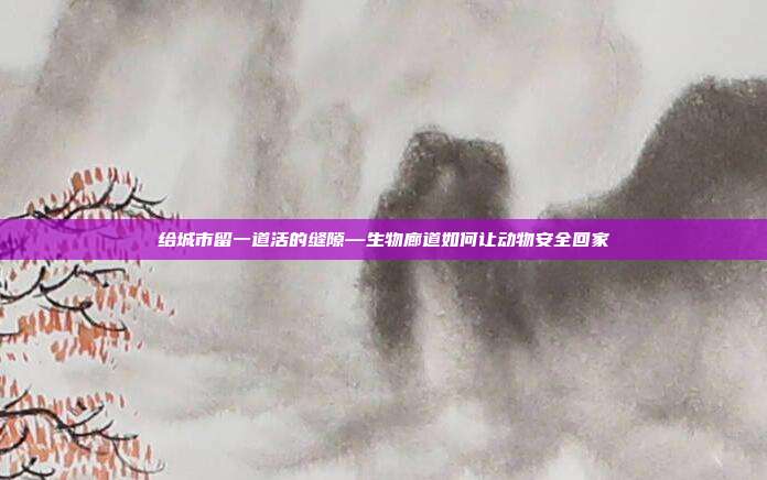给城市留一道活的缝隙—生物廊道如何让动物安全回家