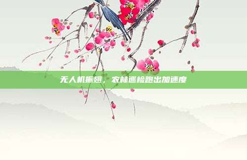 无人机振翅,农林巡检跑出加速度