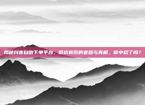 揭秘抖音自助下单平台,低价背后的套路与真相,你中招了吗?